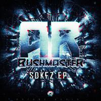 AR The Bushmaster - Come Tes