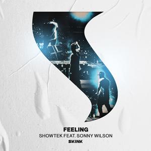 Showtek & Sonny Wilson - Feeling (Radio Edit) (Instrumental) 原版无和声伴奏 （升5半音）