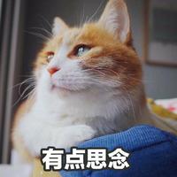 [DJ节目]凉音小佑的DJ节目 第79期