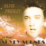 Skyey Sounds Vol. 7专辑