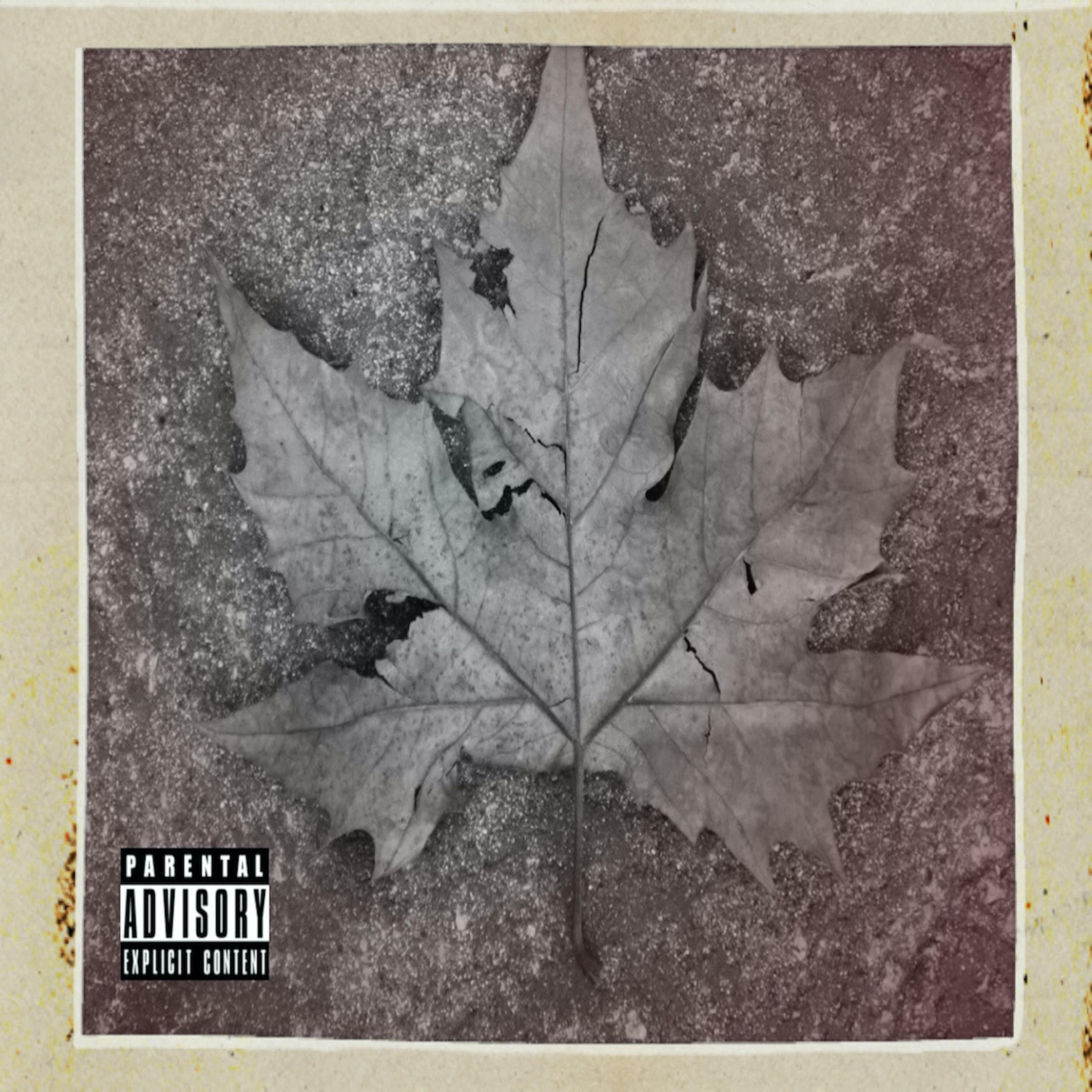 The Leaf