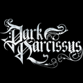 Dark Narcissus