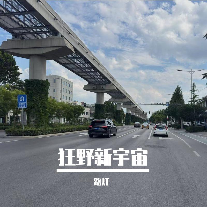 我的模样 (狂野新宇宙|洛天依 ver.)