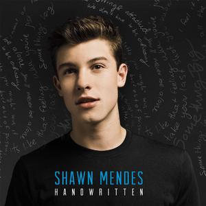 Shawn Mendes-Never Be Alone  立体声伴奏 （升6半音）