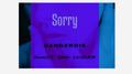 Sorry专辑