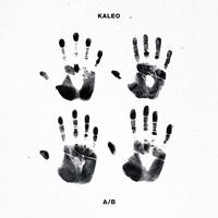 Kaleo - Save Yourself (Karaoke Version) 带和声伴奏
