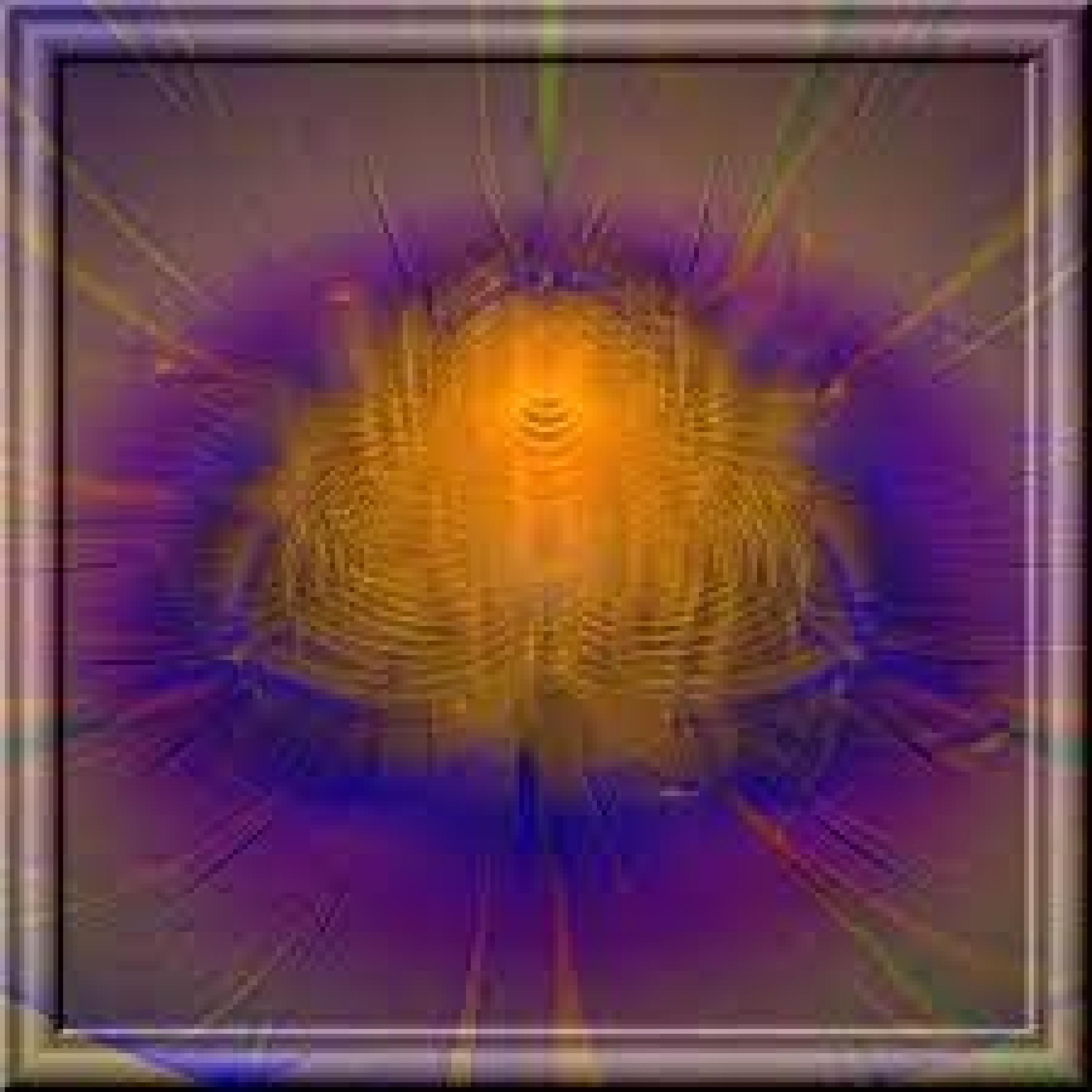 Distorted Flowers