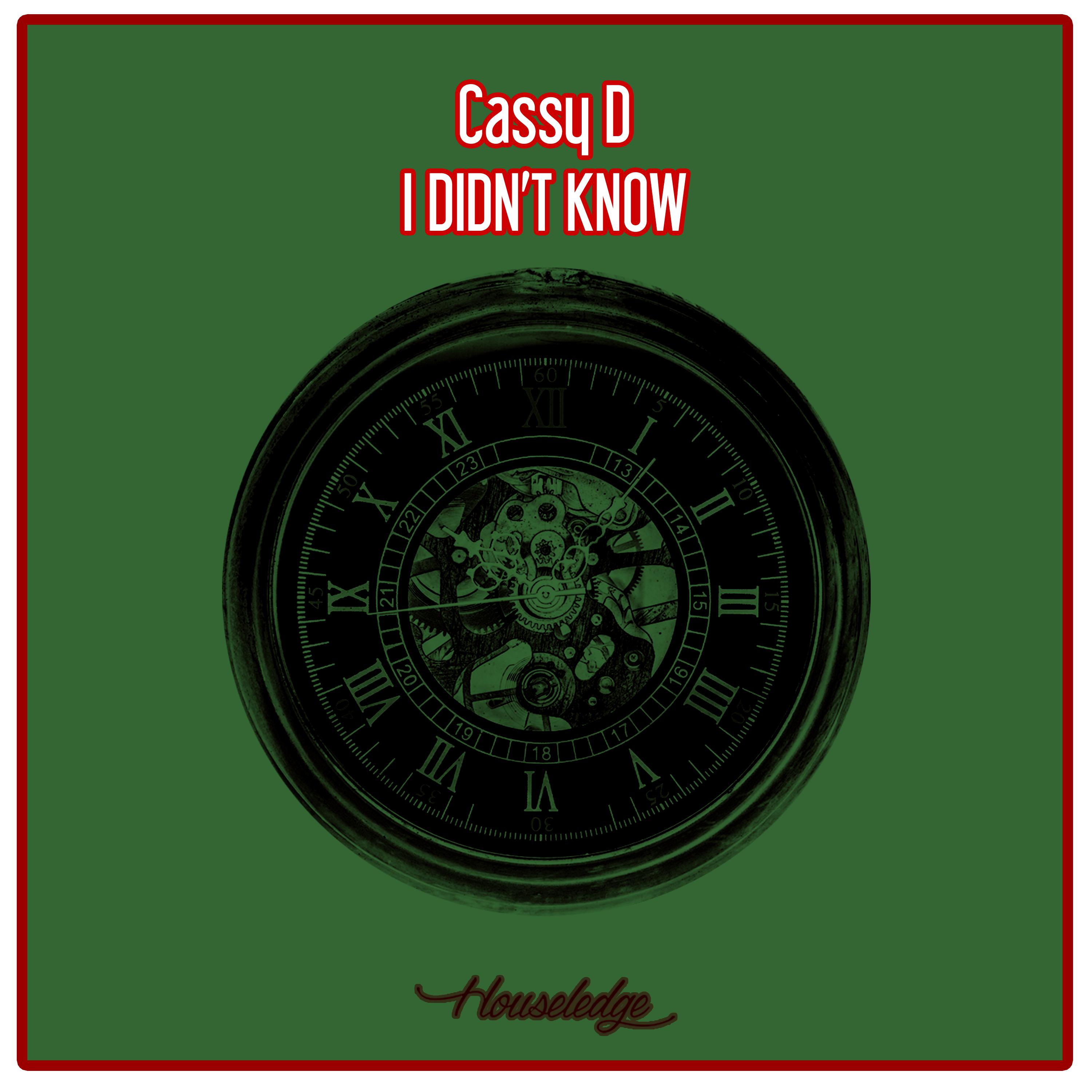 Cassy D - I Didn't Know (Nu Ground Foundation Reprise)