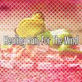 Healing Rain For The Mind