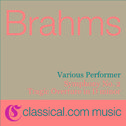 Johannes Brahms, Symphony No. 2 In D, Op. 73专辑