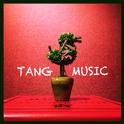 TANG.MUSIC 念专辑