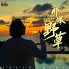 潇公子（刘潇） - 那棵野草 (伴奏)