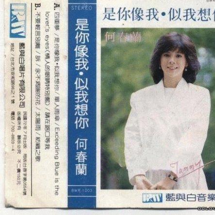 是你像我、似我想你
