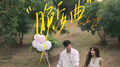 晚安曲专辑