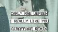 I Really Like You (Giraffage Remix)专辑