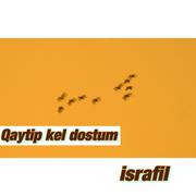 QAYTIP KEL DOSTUM