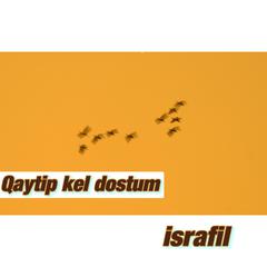 QAYTIP KEL DOSTUM