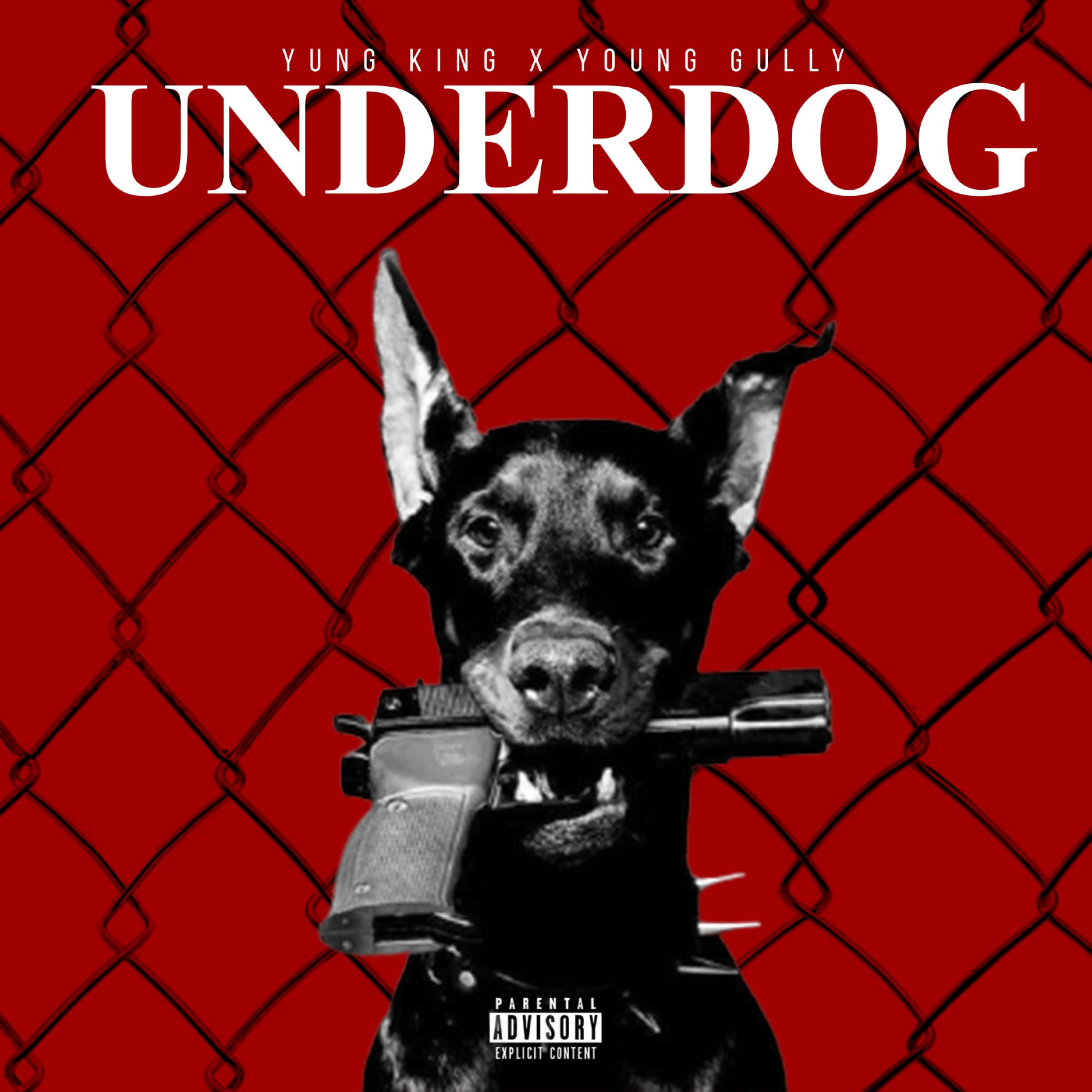 underdog (feat. young gully)