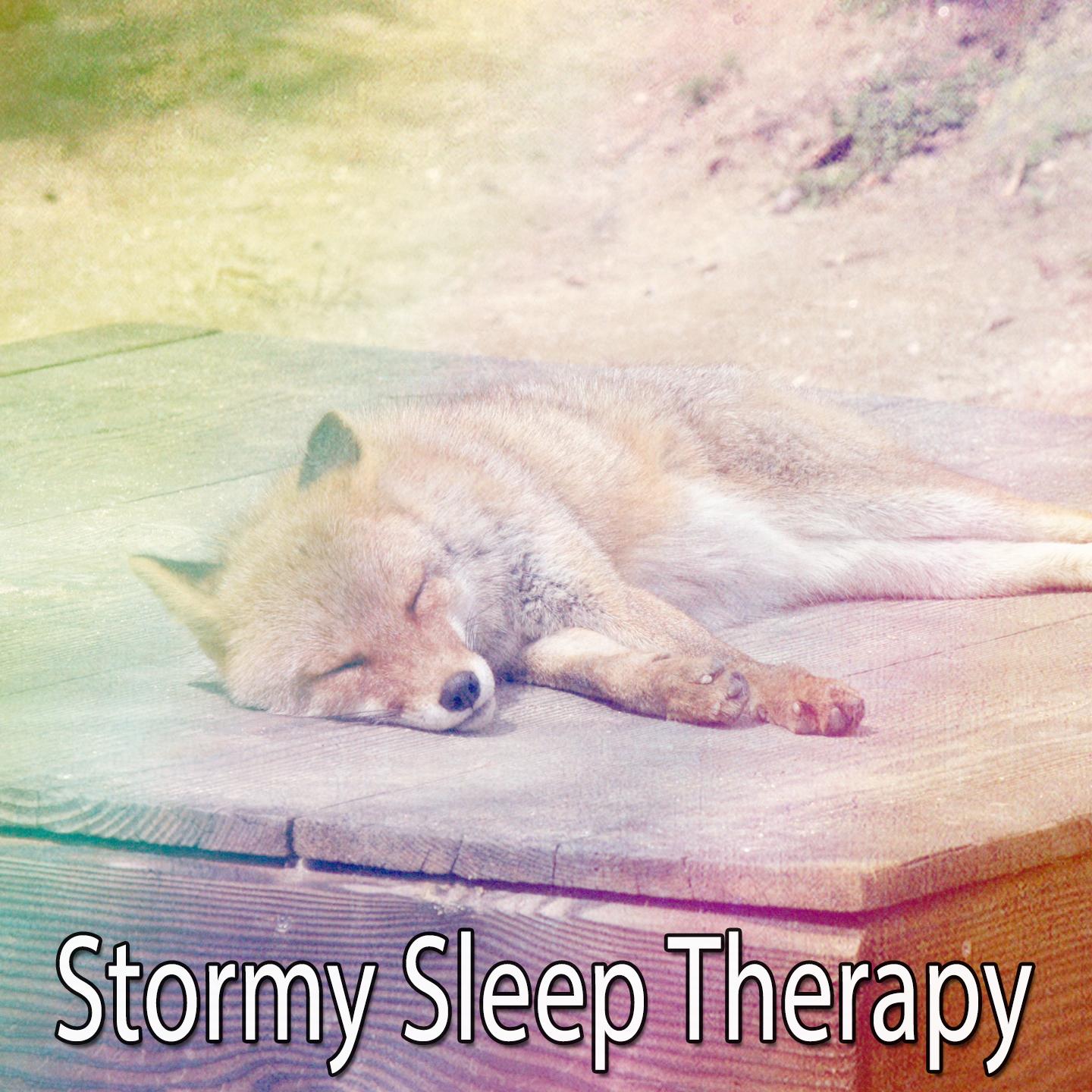 Stormy Sleep Therapy专辑