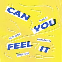 Tobtok, Moss Kena & Adam Griffin ft James Hurr - Can You Feel It (Radio Edit) (Instrumental) 原版无和声伴奏