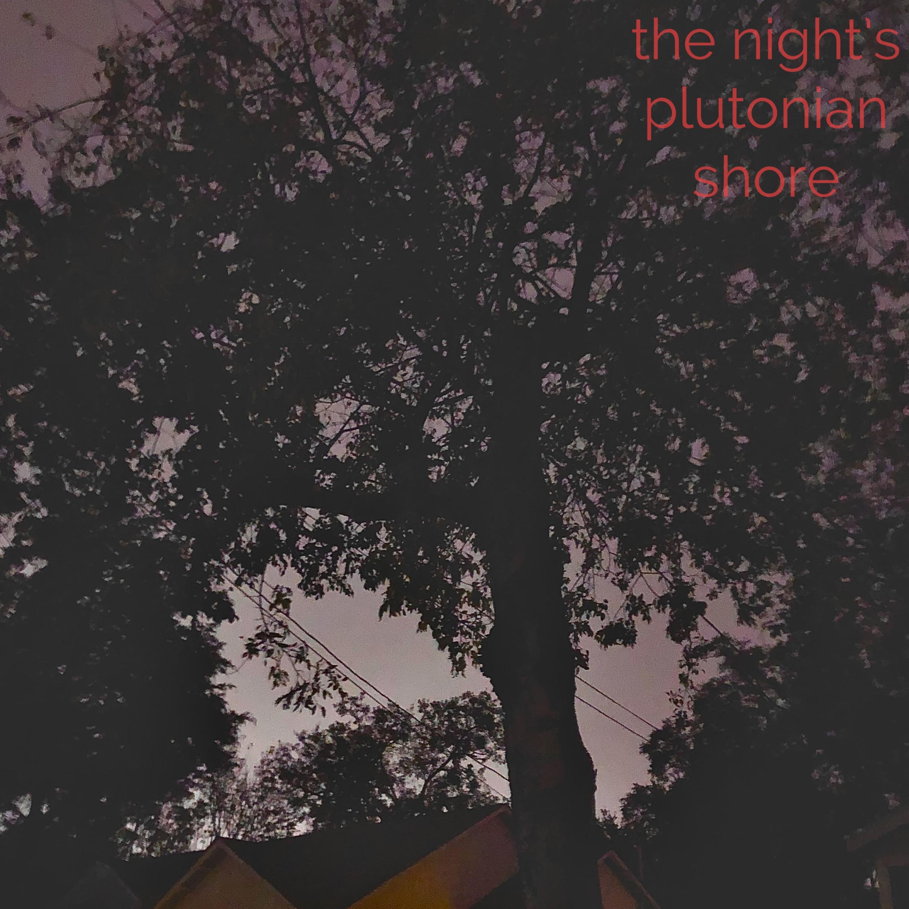 The Night's Plutonian Shore