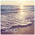 Sleeping at the Beach, Vol. 12专辑