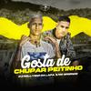 Dj Dollynho da Lapa - Gosta de Chupar Peitinho