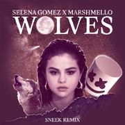 Wolves (Sneek Remix)