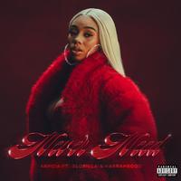 Anycia, GloRilla, & KARRAHBOOO - Never Need