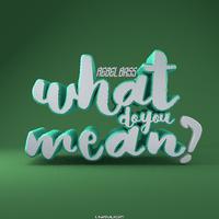 Rebel Bass - What Do You Mean(Chris Diver Rmx)