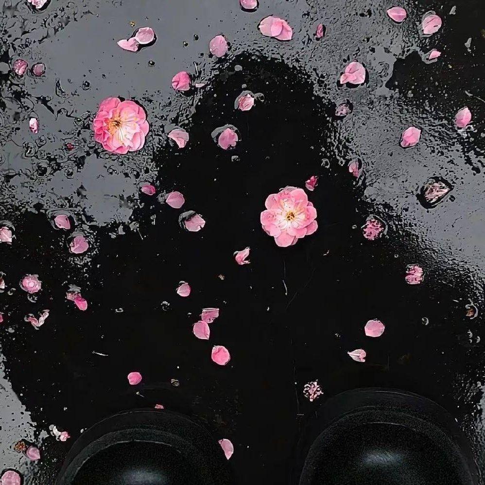 早知原是梦，不做醒来人