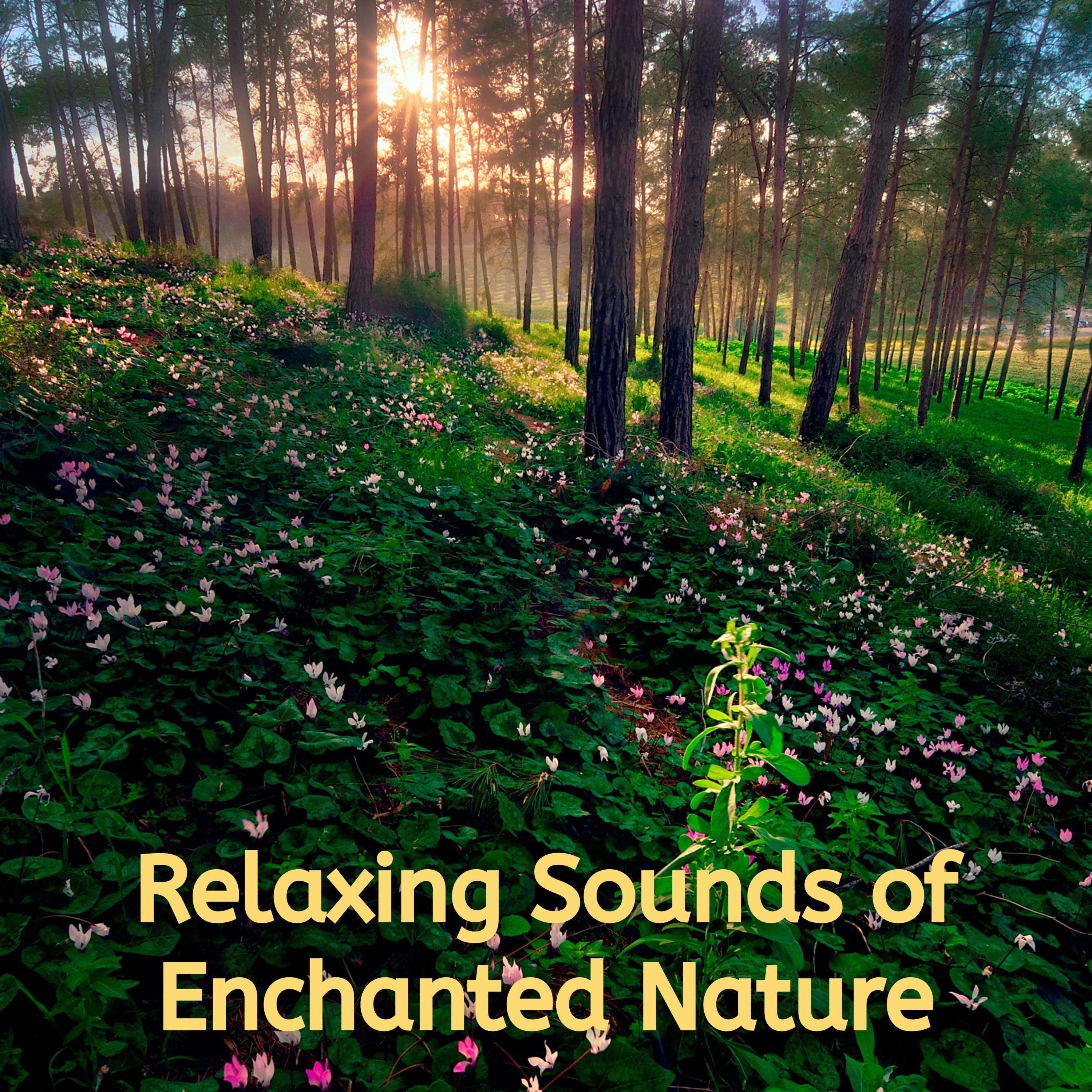 nature & Sounds Background - Harmony of the Enchanted Realm