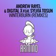 Winterburn (Remixes)