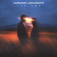 Camelphat & Josh Gigante - The One (Clean Ck Cut) 124