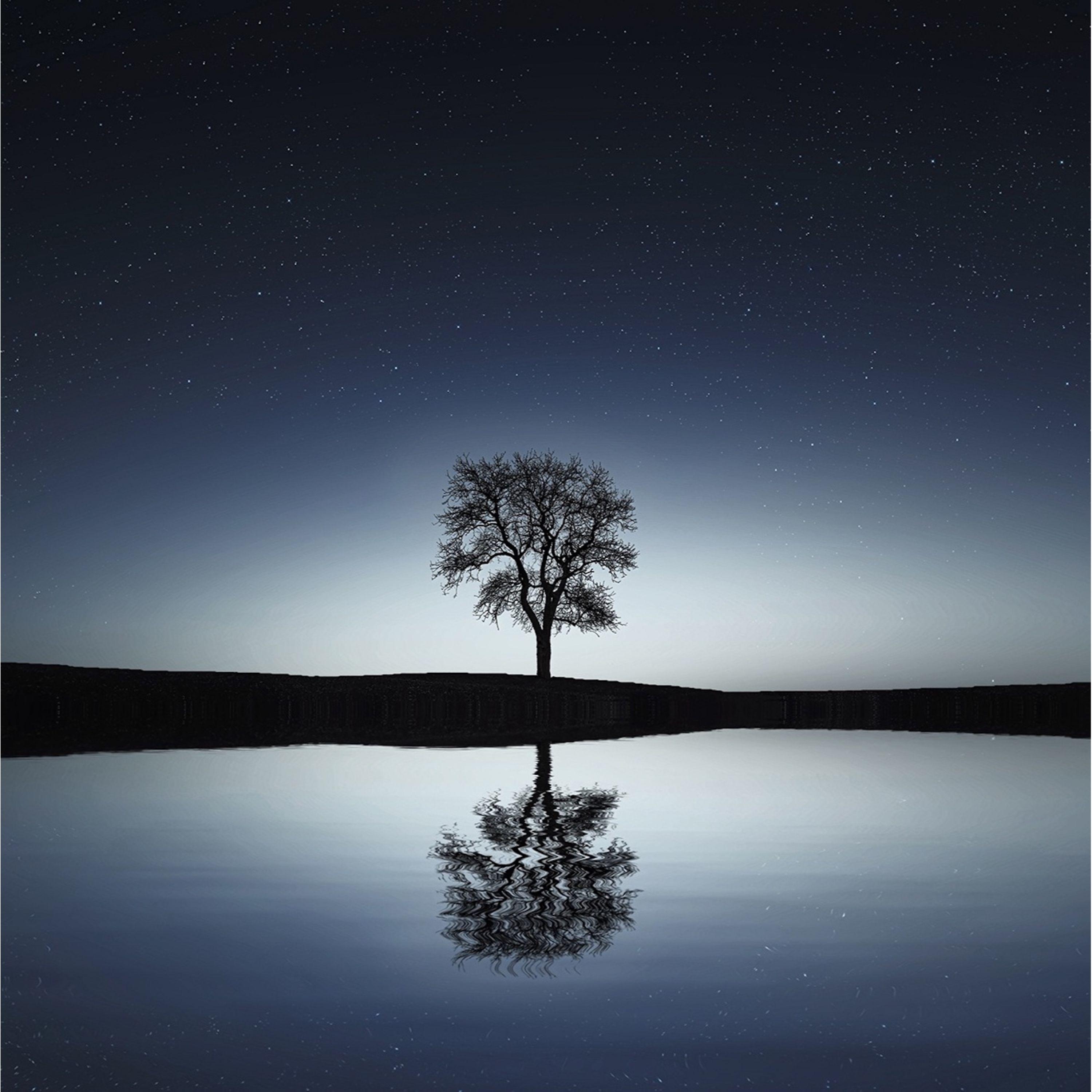 Comforting Sounds for Meditation