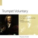 Trumpet Voluntary专辑