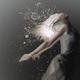 Phoria