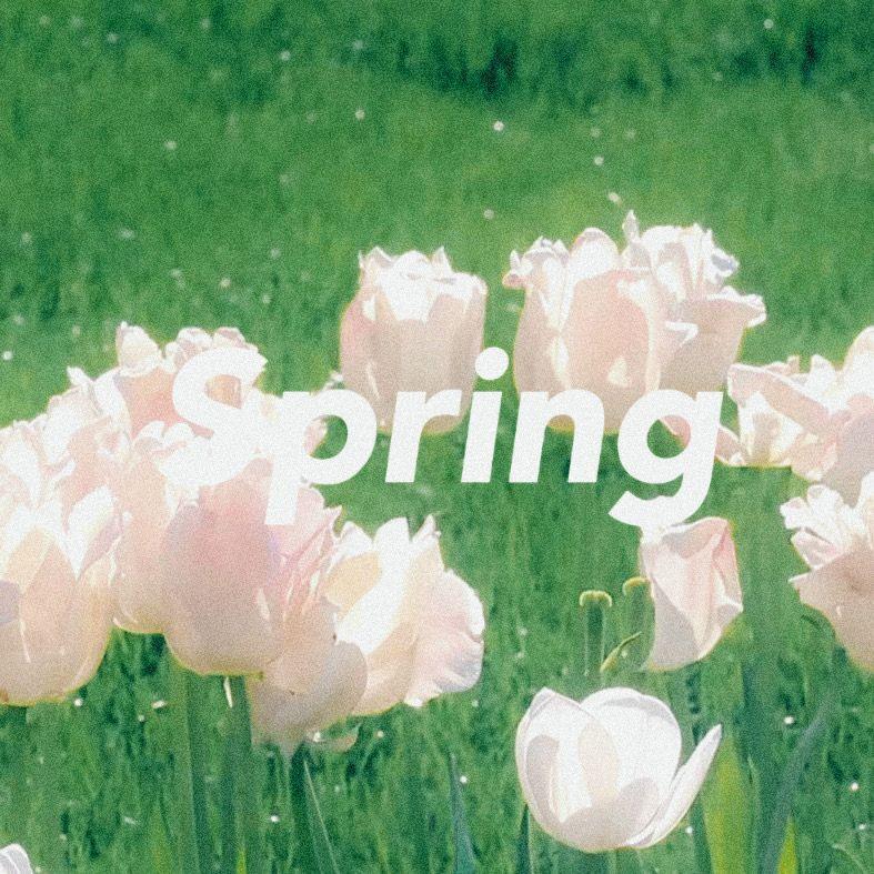 "Spring"あれくん X れん Pop Type Beat
