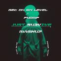 Get On My Level & FUOMF(Just Survive Mashup)专辑