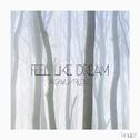 Feel Like Dream专辑