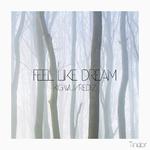 Feel Like Dream专辑