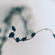 七村没有太阳