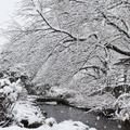 雪解けアイスクリーム
