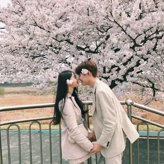 高甜情歌来袭！单身狗速速退避