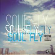 Soul Fly