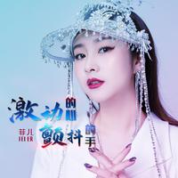 菲儿-激动的心颤抖的手(DJ沈念版)