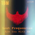 Lost Frequencies - Are You With Me