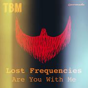 Lost Frequencies - Are You With Me