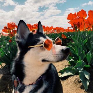 Country | 与你共赴明媚深秋