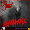 Animal (Live)专辑